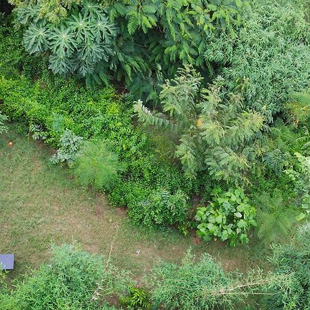 Osho Villa Guest House جايبور المظهر الخارجي الصورة