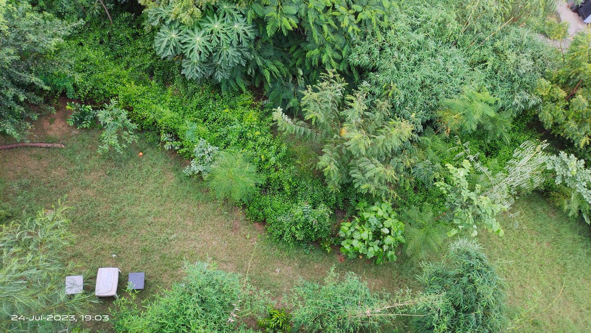 Osho Villa Guest House جايبور المظهر الخارجي الصورة